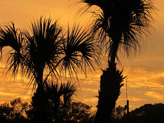 Sonnenuntergang am Golf von Mexiko
