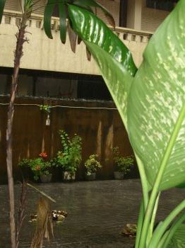 no!, rain
OMG