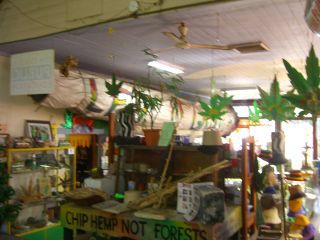 nimbin mardi grass