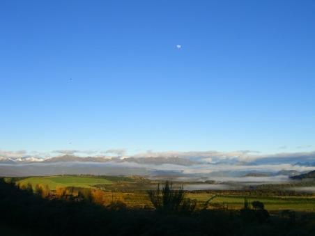 die aussicht am morgen im "burnyard backpackers"