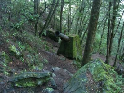 der one mile track diente zur einfuehrung zum track des BL