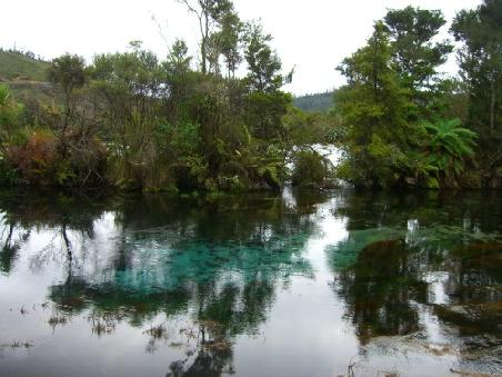 springs