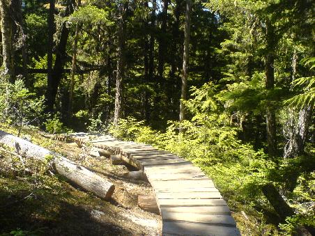 lost lake tracks