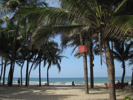 Der Strand Cua Dai in der Naehe von Hoi An ist okay, das Wasser scheint sauber zu sein. Vielleicht bin ich ja zu anspruchsvoll, aber  insgesamt wirkt der Beach sehr 08/15 und laesst trotz ein paar Palmen nicht unbedingt Karibikgefuehle aufkommen. Ein Stueck weiter, wo nicht mehr regelmaessig aufgeraeumt wird, sieht es natuerlich nicht wirklich prickelnd aus.
