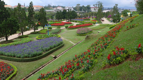 Hier haette jedenfalls jeder rechtschaffene Kleingaertner und gut buergerliche Gartenschaugaenger seine Freude dran! Das Klima dort ist aber auch wirklich ideal fuer das Gruenzeugs (nie unter 10 und kaum ueber 30 Grad).
