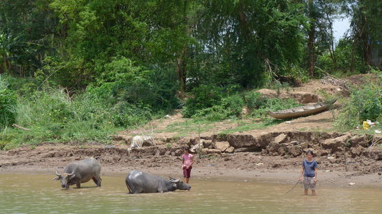 Der Mekong wird im Oberlauf unheimlich breit und solche Bilder in Ufernaehe sieht man eigentlich nur, wenn man wegen einer Hilfsaktion langsam Richtung Land getrieben wird.