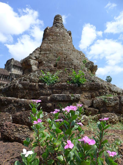 Die ganze Anlage wurde im laufe der Jahrhunderte mehrfach vom Dschungel ueberwuchert und ist dann immer wieder freigeraeumt worden.