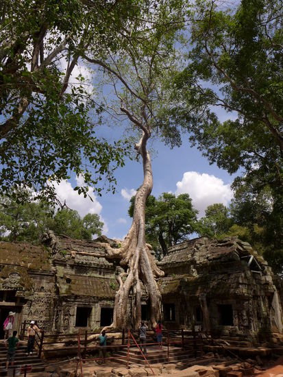 Ta Prohm ist der interessanteste Tempel. Die halb von Baumwurzeln überwucherte Ruine hat was indiana-jones-mässiges. Tatsächlich wurde dort ein Teil von Tombraider (der Film mit Tante Angelina) gedreht