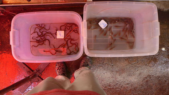 ...und anderes leckeres Zeug.