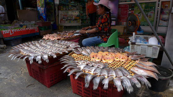 ...auch Fischiges gibt's...