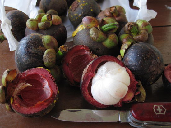 Zur Staerkung gibt es abends Mangostane frisch vom Markt. Angeblich die gesuendeste Frucht der Welt (hat am meisten Antioxidantien)!