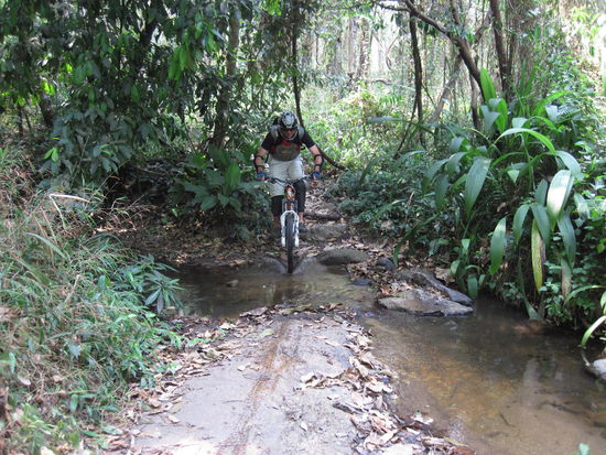 Das kleine Rinnsal hier war das einzig Feuchte auf dem ca. 2-stuendigen Trail. Ansonsten war es staubtrocken. Das trockene, harte Laub macht den wurzelbespickten, steilen Weg ungewoehnlich rutschig. 
'Hey du Moechtegern-Freerider! Gab es dann nicht auch vielleicht eine kleine, ungeplante Bodenberuehrung?' Die Frage wuerde ich dann gerne noch etwas zurueckstellen...
Jedenfalls, wenn's stimmt was die hier sagen, machen die kanadischen Profis hier ihr Wintertraining.