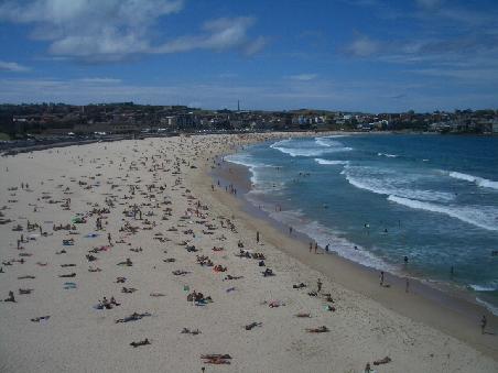 Bondi Beach...man beachte die blauen Quallen im Wasser