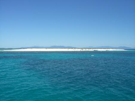 "Michaelmas Cay"...
Wir sind zu 2 Riffen gefahren und zu dieser kleinen Sandinsel konnten wir schnorcheln...
