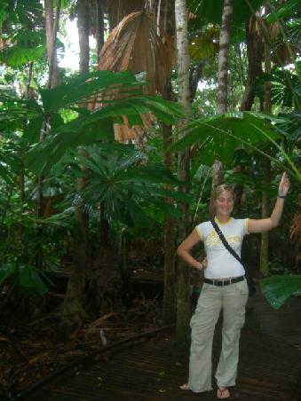 ...der Regenwald und ich...