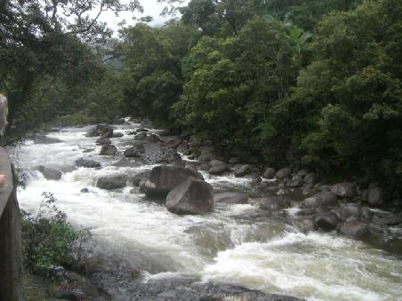 "Mossman Gorge"