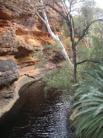 "Garden of Eden" im Kings Canyon