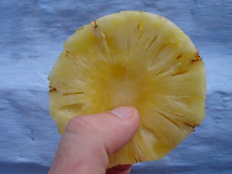 Pinapple, mmmmh leckerschmecker. Genau wie Coconuts und und und.