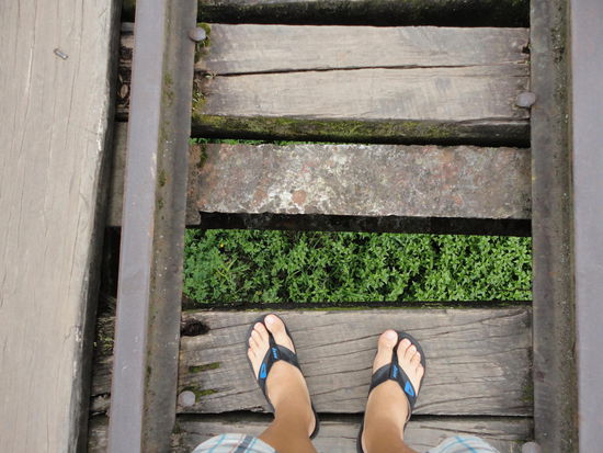 Jetzt wissen wir, warum wir besser vorher aus dem Bus aussteigen!