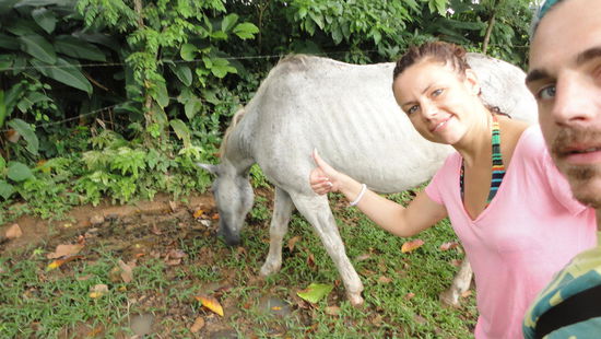 Wen man nicht alles auf einer Wanderung trifft.