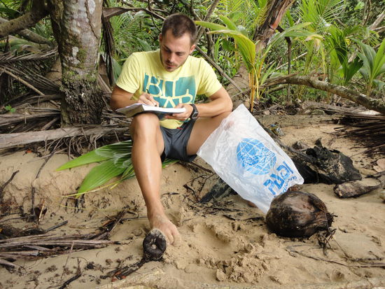 Nach langem eine Pflicht! Stressiges lernen unter den Palmen...