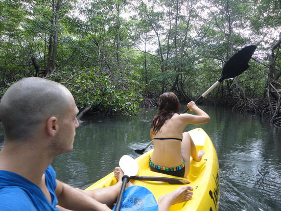 Mit dem Kanu durch die Mangrovenwälder.