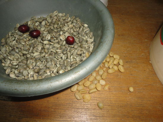 Kaffeebeeren, Kaffebohnen mit Silberhäutchen und fertig getrocknete aber noch ungeröstete Kaffeebohnen