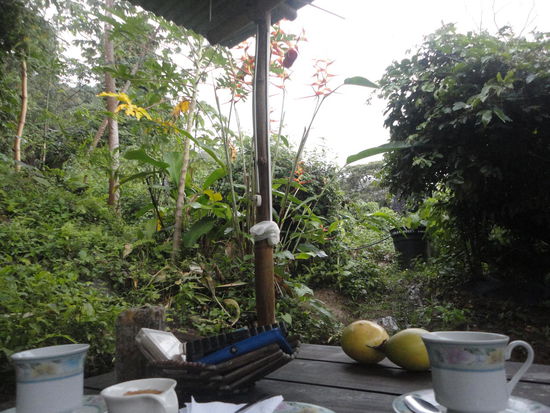 Kaffeplausch im Garten bei strömendem Regen: Ausblick Vorderseite