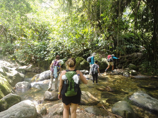Einer der vielen wackeligen Flussübergänge, an denen wir teils auch mal zur Abkühlung ins frische Wasser springen konnten.