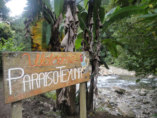 Willkommen in unserem letzten Camp vor der Ciudad Perdida und unserem Rückweg.
