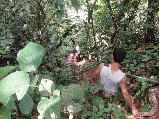 Der letzte Tag im letzten Camp, den wir ganz alleine mit unserem Tourguide verbrachten, da alle anderen nur 5 Tage gebucht hatten. Nach einem adrenalinreichen Abstieg erlebten wir ein tolles Naturspektakel.
