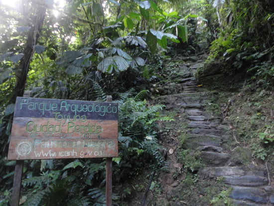 Endlich stehen wir vor den Treppen hoch zur Ciudad Perdida!