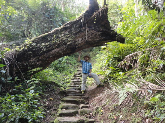 Hier musste Benjamin mal eben den Weg frei machen.