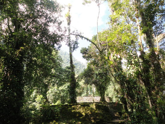 Die verschiedenen Ausgrabungen.