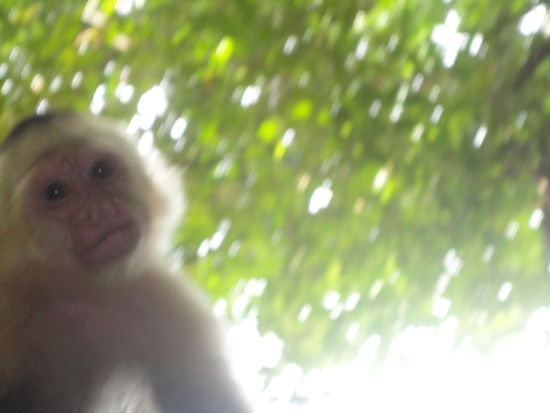 So nah stand er plötzlich vor Nadja! Sie hatte nur wenige Sekunden, dieses Bild zu schießen, da sie irgendwie doch ein mulmiges Gefühl bekam bei diesem Gesichtsausdruck...