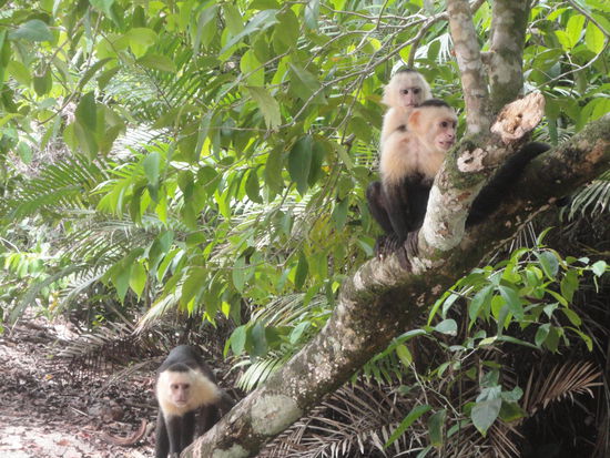 Mit Baby auf dem Rücken...
