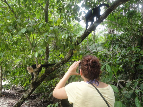 Ales gut festhalten und verschließen, sie klauen alles was sie kriegen können, neben Essen auch Kameras, Handys etc. Man sollte sie nicht unterschätzen, die sind durchaus in der Lage, Taschen zu öffnen, wenn es sein muss.