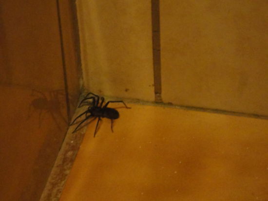 Unsere erste Begegnung im Badezimmer