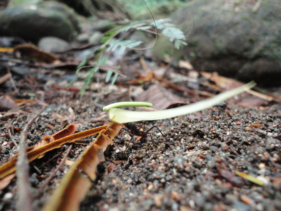 Hier wird noch schwer getragen!