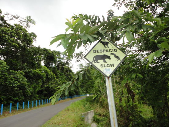 Auf dem Weg zum Wasserfall.
