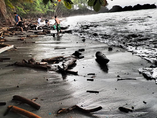 Auf dem Weg zum Playa Grande - das Spiel mit den schwimmenden Baumstämmen