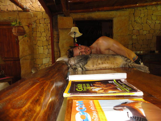 Die faulste und fetteste Katze, die ich je gesehen habe...jaaaaa, die Katze!