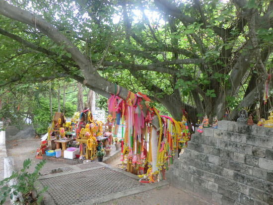 Wer hier vorbei fährt muss hupen und dann passiert ihm nichts.