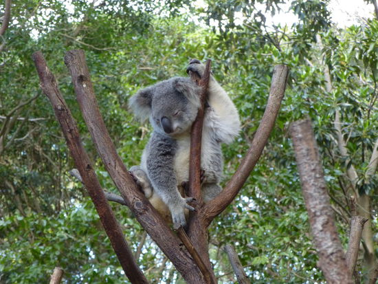 Der ist auch nicht aus der Ruhe zu bringen 
