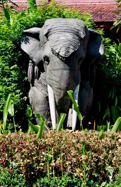 Elephant in Bronze gegossen. Geschickt gemacht, da nur das Vorderteil existiert. Den "Körper" bildet der Busch.