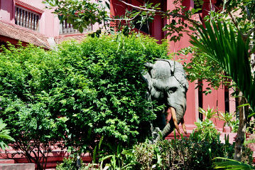 Der Elephant im Profil.
