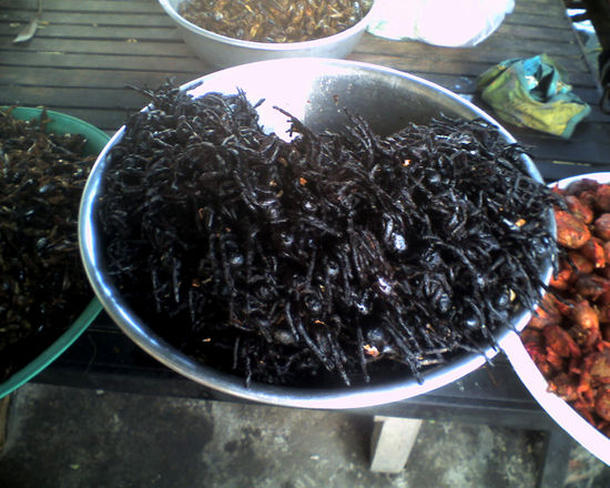 Laotisches Fast Food am Rasthaus. Spinnen in schwarzer sauce, links Heuschrecken fritttiert, weiter hinten Kakerlaken ("water beetle") gebacken.