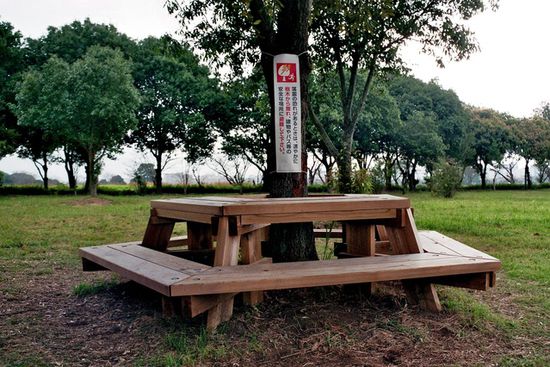 Warnschild am Baum: "Bitte entfernen Sie sich bei Gewitter, da es dann gefährlich ist unter einem Baum zu sitzen. Parkbänke an sich sind eine Seltenheit.