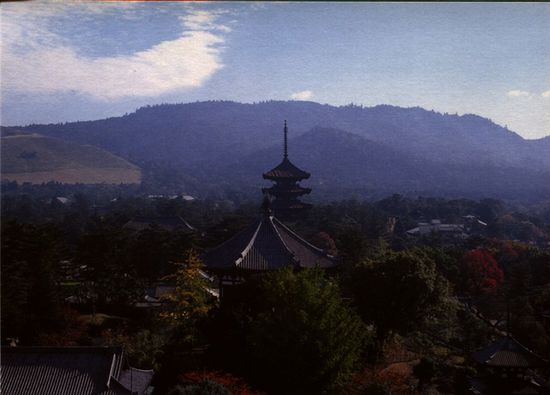 Blick auf den Kofiukuji mit seiner 5stöckigen Hauptpagode (die "westliche Halle" im Vordergrund). Eines der beliebtesten Photomotive vor Ort.