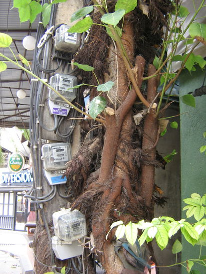 Entspricht nicht ganz der VDE-Norm  
Stromzähler an den Baum genagelt im Dorf Chaweng - nicht die einzige windige Elektroinstallation im Lande.